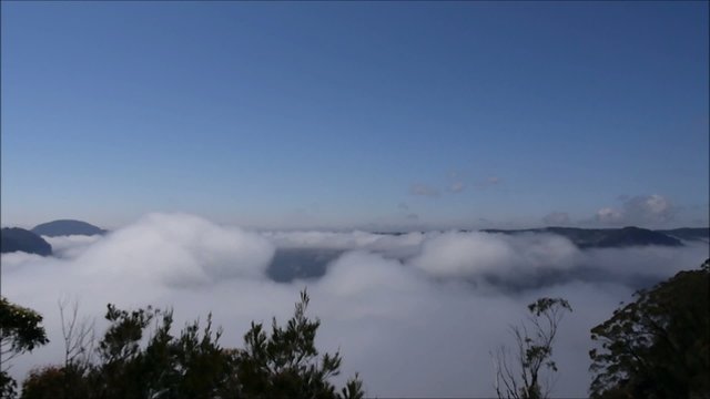 Nebel in den Blue Mountains