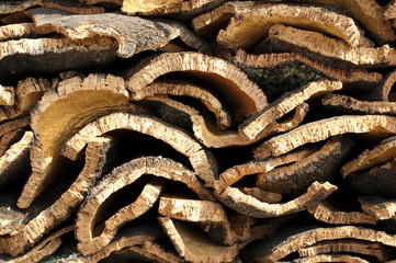 Cork crust