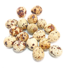 Obraz premium Petits oeufs de caille