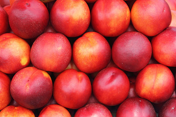 Nectarines