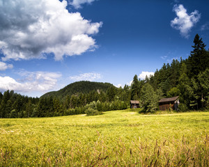 The cobolt mines