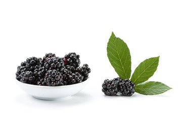 Fresh blackberry