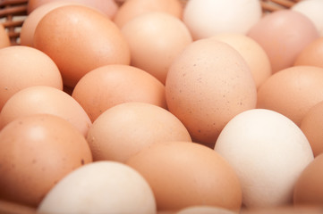Brown eggs