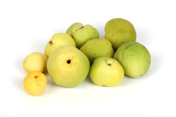 Quitten