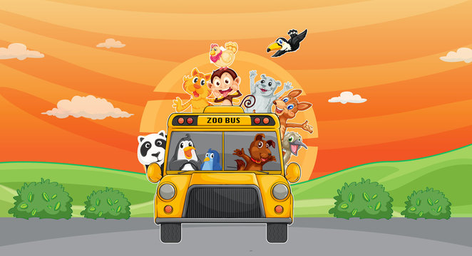 animals and zoo bus
