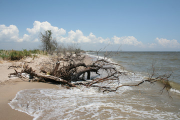 Берег моря после шторма