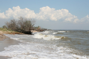 Берег моря после шторма