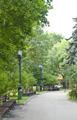 City park on summer