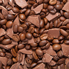 Coffee beans and broken pieces of milk chocolate. Delicious food