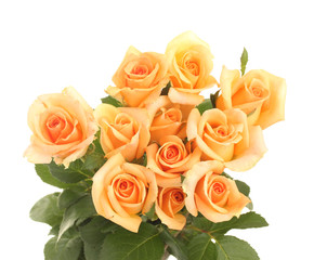 beautiful bouquet of roses isolated on white