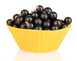 Fresh black currant in silicone mold isolated on white