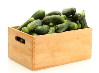 fresh cucumbers in wooden box isolated on white