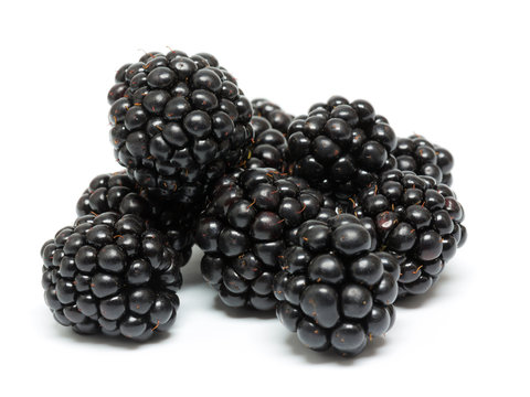 Brombeeren