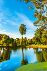 spring landscape