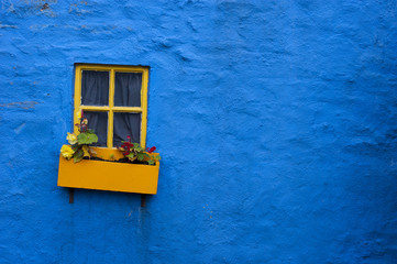 yellow window flower box on blue wall