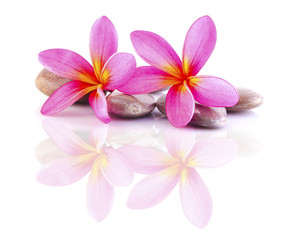 zen stones with frangipani