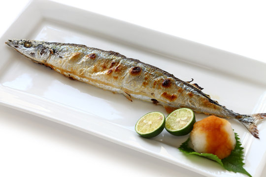 broiled saury with salt, japanese cuisine