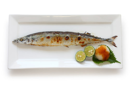 broiled saury with salt, japanese cuisine