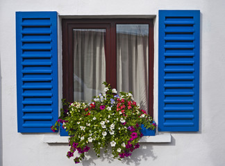 blue window shutters and flowers