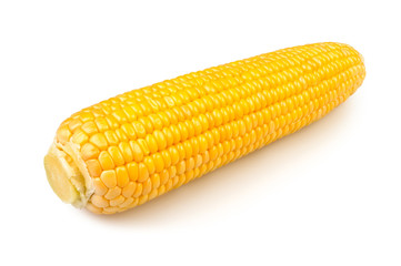 single corn