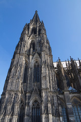 Fototapeta premium Kölner Dom