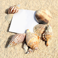 blank paper on white sand beach