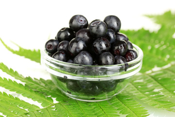 Transparent bowl with ripe blueberries on fern close-up