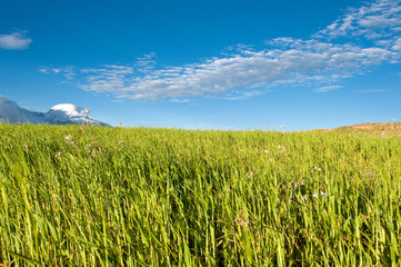 Naklejka premium Landscape and snow mountain