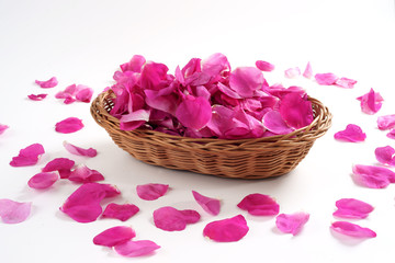 Rose petals © 7monarda