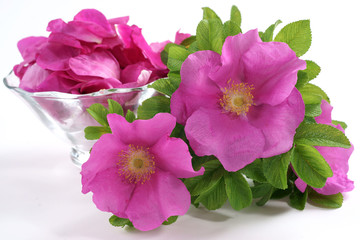Rose petals © 7monarda
