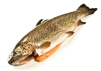 Trout eviscerated, ready to cook