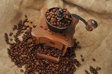 Manual coffee grinder
