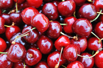 Freshly  cherries
