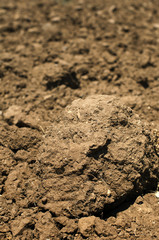 Agricultural land soil close up