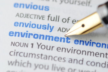 Environment - Dictionary Series