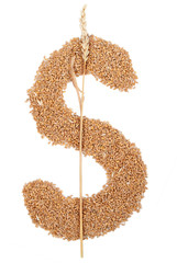 Dollar symbol made from wheat grain