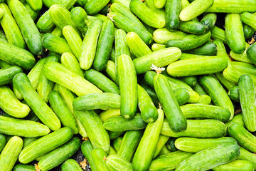 Pile of cucumbers at the local market.