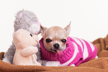 What did you whisper in my ear?