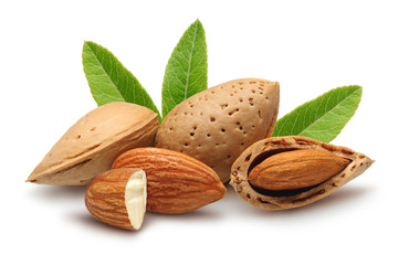 almonds, shelled almonds and leaves