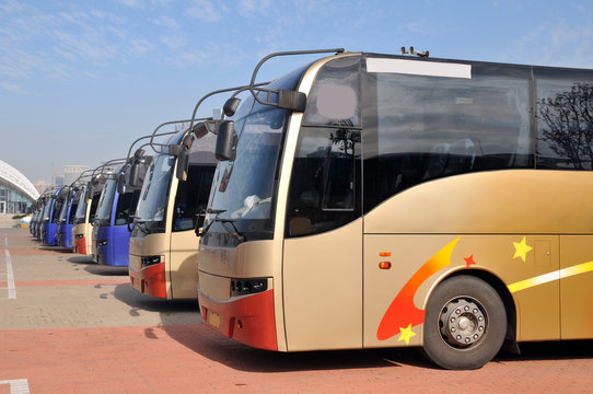 Bus