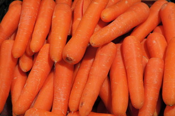carrot - a close up of the fresh young