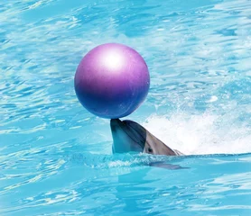 Kussenhoes tuimelaar speelt met bal in water © Alena Yakusheva