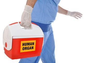 Organspende in Kühlbox