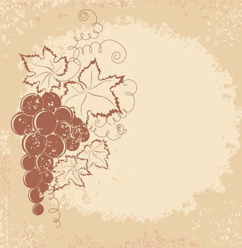 Old vector background with grapes branch