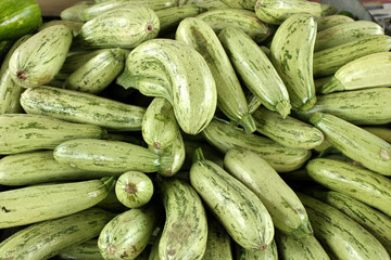 Zucchini