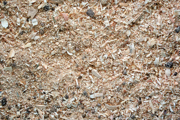 Sawdust animal bedding (Texture)
