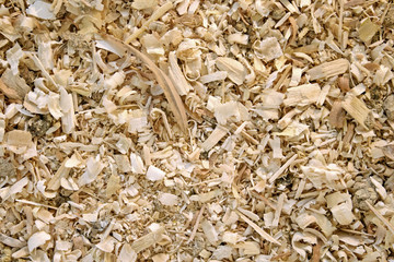 Sawdust animal bedding (Texture)