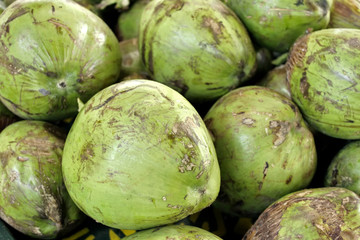 A group of green coconuts - production