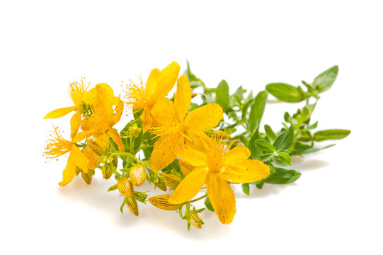 St John's wort