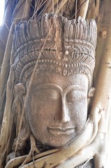 Head of Sandstone Buddha